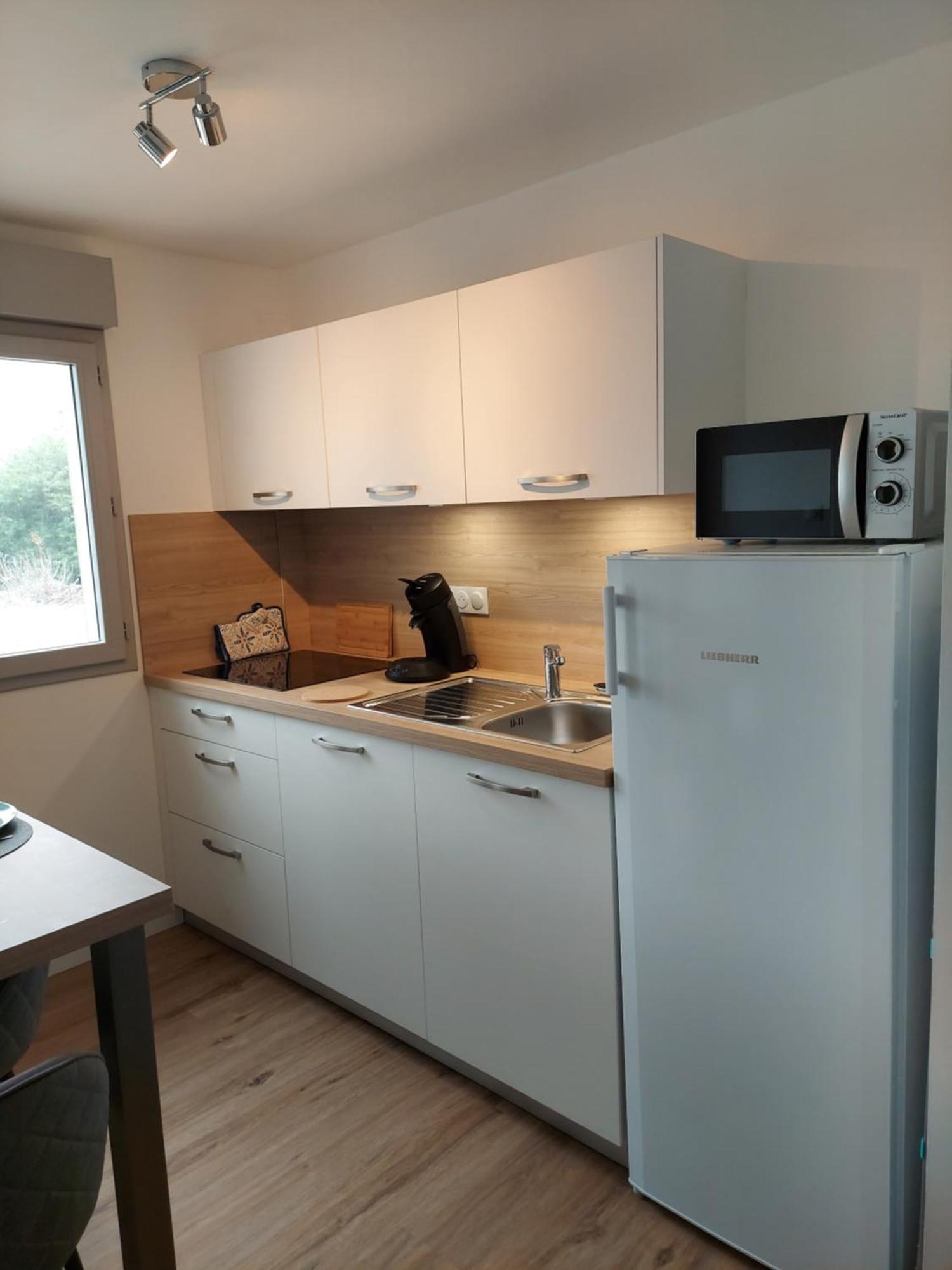 Apartment Traezh - Appart-sympa - T3 En Plein Centre De *